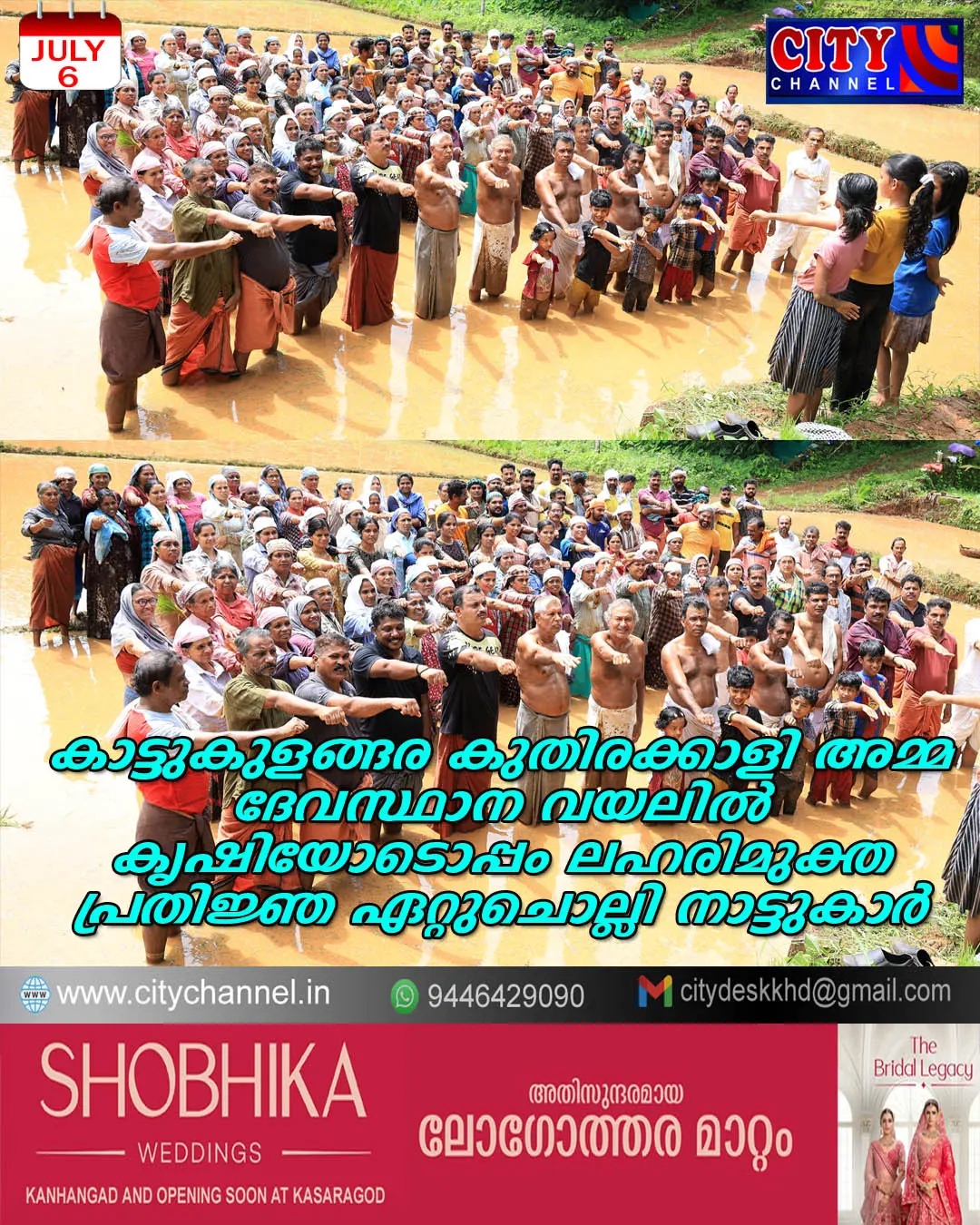 കൃഷി ലഹരിയില് കാട്ടുകുളങ്ങര.. കാട്ടുകുളങ്ങര കുതിരക്കാളി അമ്മ ദേവസ്ഥാന വയലില് കൃഷിയോടൊപ്പം ലഹരിമുക്ത പ്രതിജ്ഞ ഏറ്റുചൊല്ലി നാട്ടുകാര്