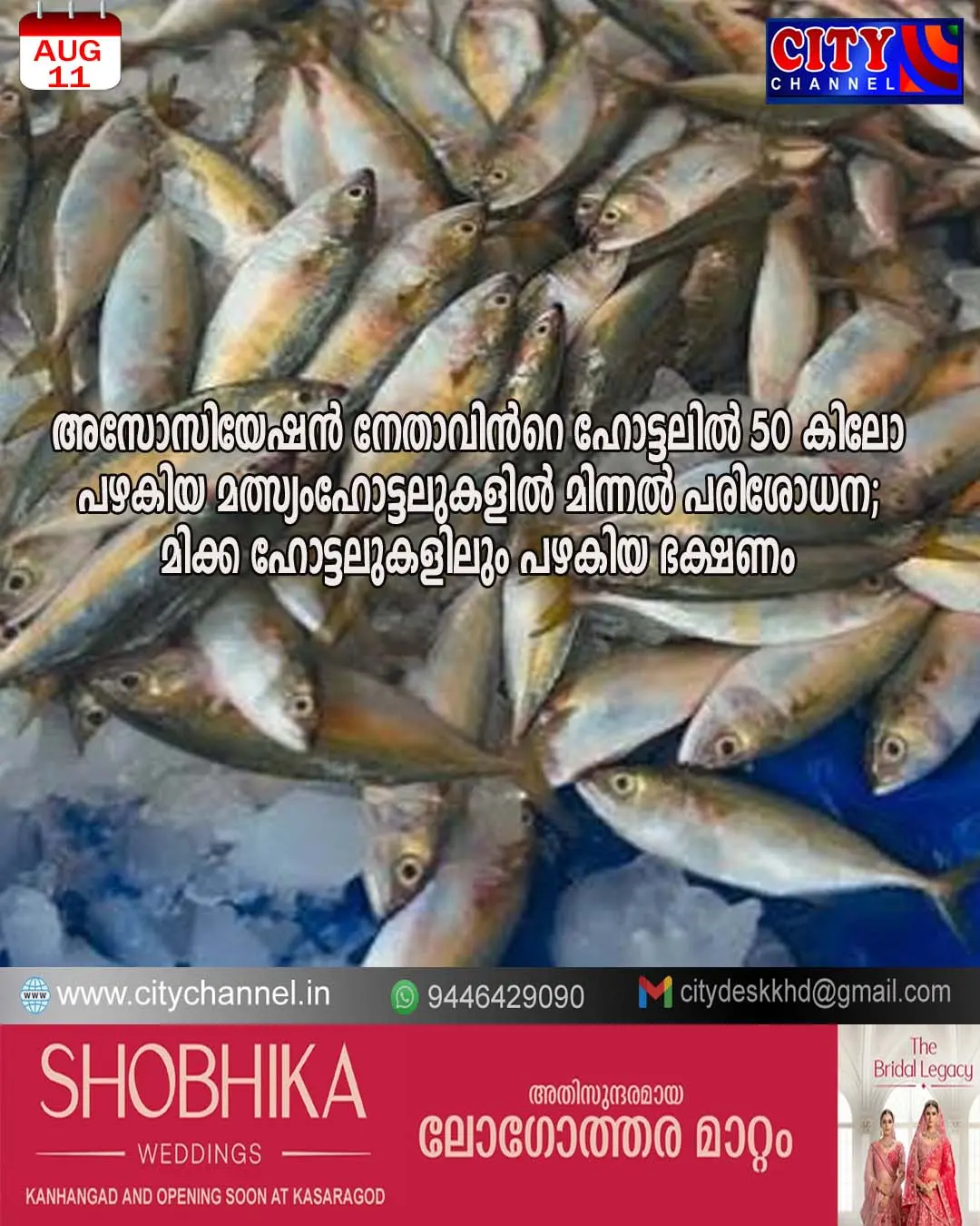 അസോസിയേഷന് നേതാവിന്റെ ഹോട്ടലില് 50 കിലോ പഴകിയ മത്സ്യം, ഹോട്ടലുകളില് മിന്നല് പരിശോധന; മിക്ക ഹോട്ടലുകളിലും പഴകിയ ഭക്ഷണം കണ്ടെത്തി